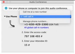 WebEx 02